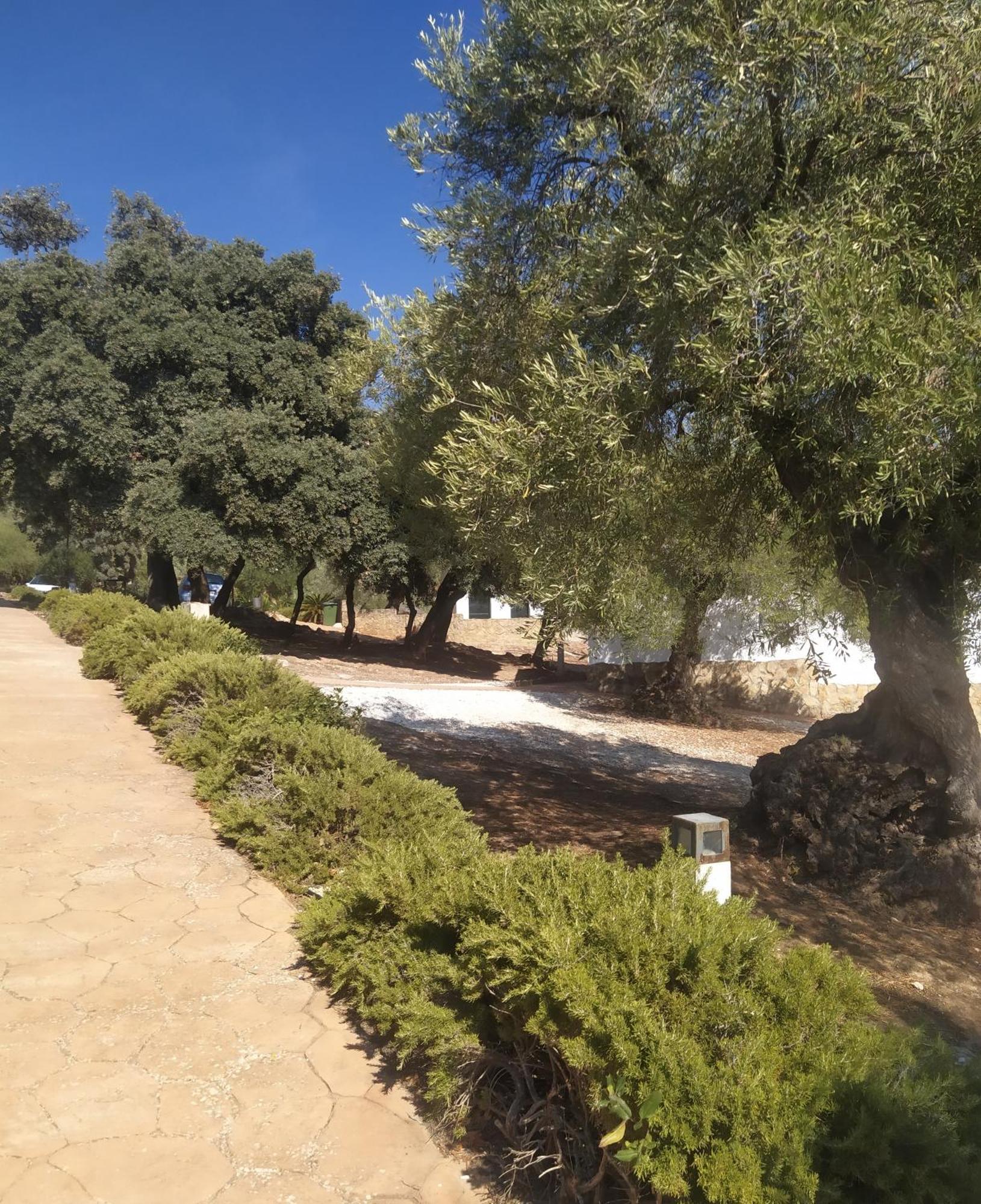 Casas Rurales Cortijo La Canada Estepa Quarto foto